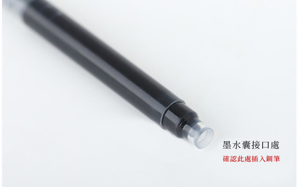 鋼筆墨水囊 (10支1包)